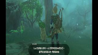 【実況】方向音痴が駆ける！【ゼルダの伝説ブレスオブザワイルド】＃45
