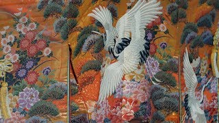 Kimono Dedication - GO IVC