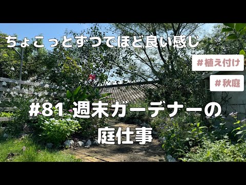 森の大理石、森の木立の棚 植物