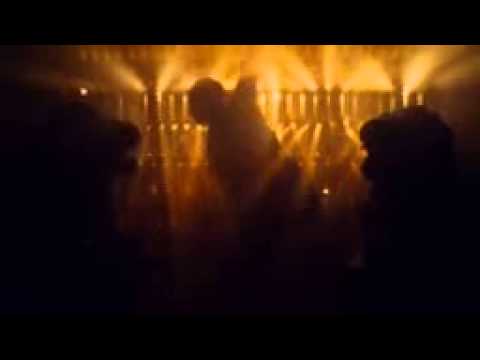 CRAZY ANIMALCln CLUBDJVIDEOS)  KESHA vs MARTIN GARRIX