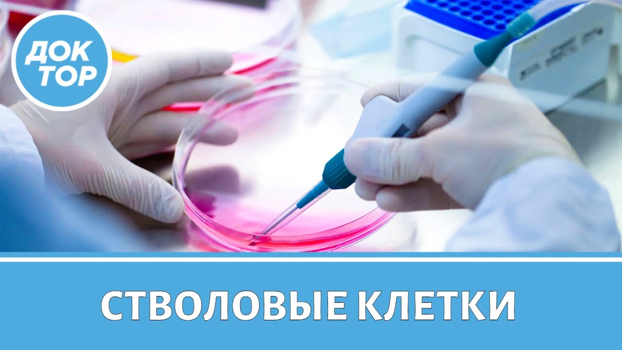 ЗА и ПРОТИВ лечения стволовыми клетками