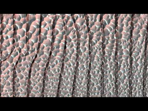 Jonas The Plugexpert - Plugexpert (2001)