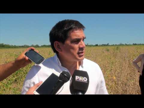 Verificación de cultivos en Yrybucuá, departamento de San Pedro