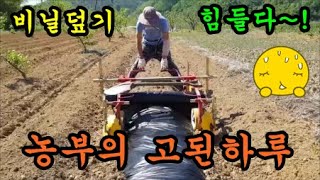 비닐덮는기계로 혼자 작업하니 삶이참 고되네요