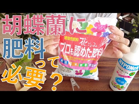 蘭の施肥:正しいやり方 トピックス