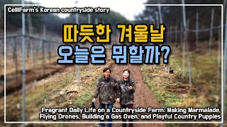 한가한 시골 겨울 일상 가스화덕에 귤잼 만들고, 드론도 날리고,  강아지들과 함께하는 시골이야기 CelliF…