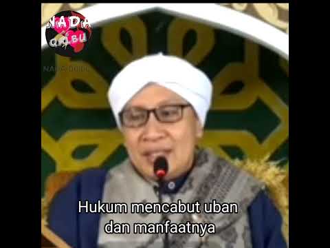 Hukum mencabut Uban dan Manfaatnya ( Ust. Buya Yahya )@nadaqolbu2879