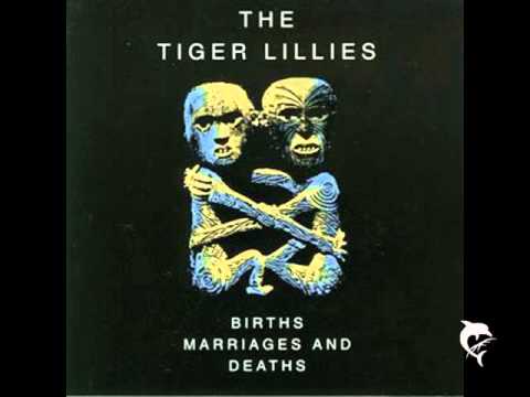 Tiger Lillies 