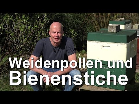 Akkumulieren Gase und Rückenschmerzen Schmerzen in der Brust und Rücken der Wirbelsäule