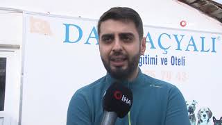 Bu Otel Köpeklere Hizmet Veriyor