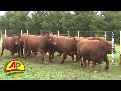 Luciano Trapa, Owner of Cabaña Curaco, Estancia Maracó Chico, Rural Area, General Acha