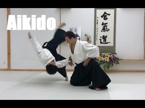 Aikido Highlights - Wuhan