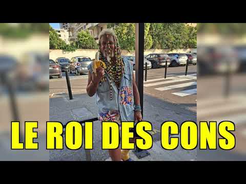 Le roi des cons