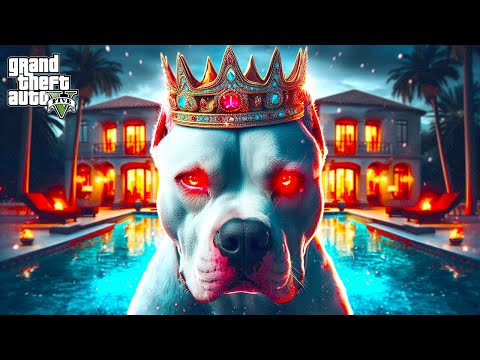 PRIME BEYAZ PİTBULL JACK GERİ DÖNDÜ! BABANIN GAZABI! - GTA 5