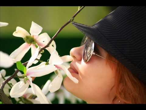 Alice-Fly(produced by Tony Ray).wmv