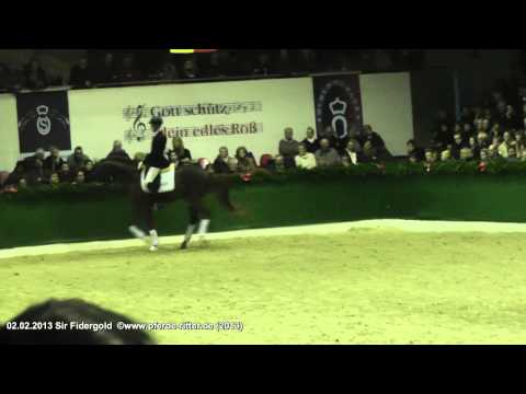 Sir Fidergold Hengstschau Sprehe 02. Februar 2013