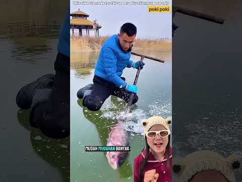 IKAN BESAR TERJEBAK‼️🤔🤭 #shortvideo