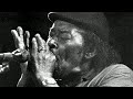 James Cotton - Don't Start Me To Talkin'