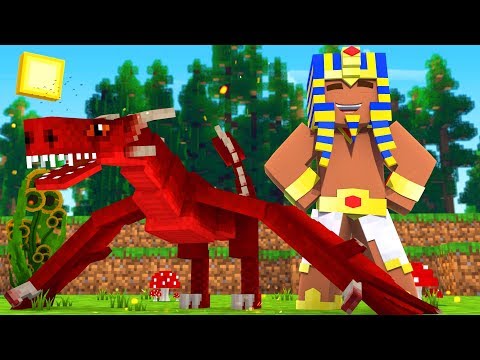 Minecraft: BABY DRAGON PHOENIX HAS GROWN UP!! - DRAGON WAR #8 ‹ Koow ›