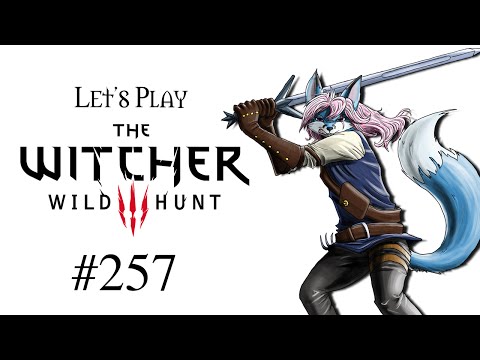 Let's Play The Witcher 3: Wild Hunt #257 - Verbliebene Quests