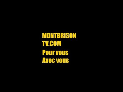 Direct BCMF vs BASKET LANDES