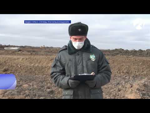 В Астраханской области Управлением Россельхознадзора установлен факт складирования иловых отложений на земельном участке сельхозназначения