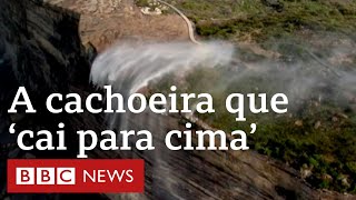 Miniatura do vídeo