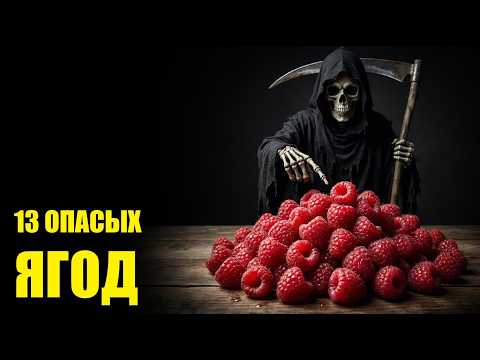 Выделяет ЦИАНИД и останавливает СЕРДЦЕ! 13 Привычных Ягод скрывающих опасность!