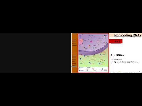 SF 14 1 PART1   Epigenetics And Circadian Clock {L}   Genetics   S  Arbor default
