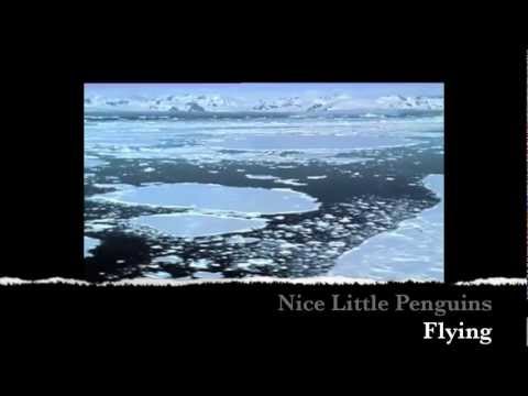 Nice Little Penguins - Flying