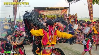 Download lagu Jaranan Rogo Samboyo Putro ft Erina Celeng Live Kaloran Nganjuk Terbaru mp3