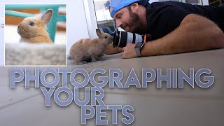 Taking Pictures of Your Pet!