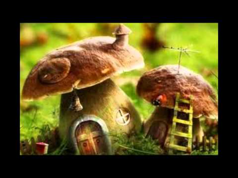 Miruna Pinzaru - Am o casa mititica