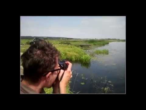 Michał Woroch - nominowany do Nagrody Alchemika