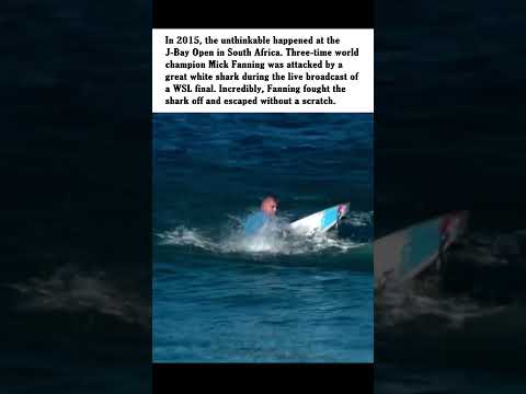 The Shark Attack That Stunned the World — Mick Fanning at J-Bay (2015)