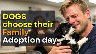 Dogs React to Being Adopted by Their New Owners 💔