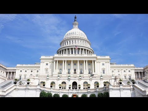 Washington DC - Viator VIP: Best of DC