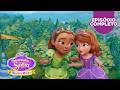 Abracabrilho Apresentação Mágica Episódio Completo Princesinha Sofia Realeza Mágica