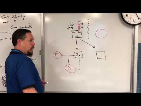 Outcrossing, linebreeding, & Inbreeding: Basic Genetics - Ep#155