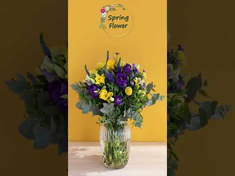 Promotional Video for Spring Flower
