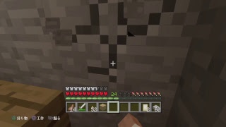 雑談作業マイクラ【マイクラ配信】