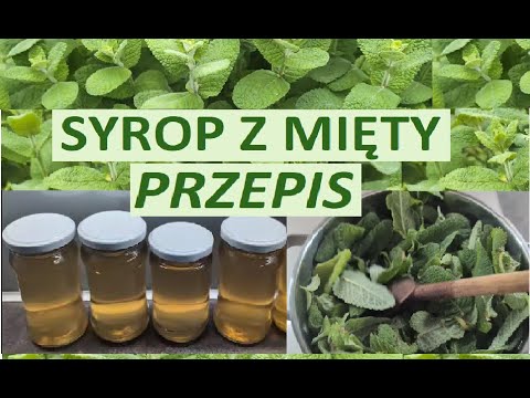 Przepis na syrop z mięty. Syrop miętowy.