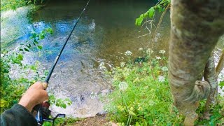 Float Fishing a Small River on open day….the fish are on the bite!