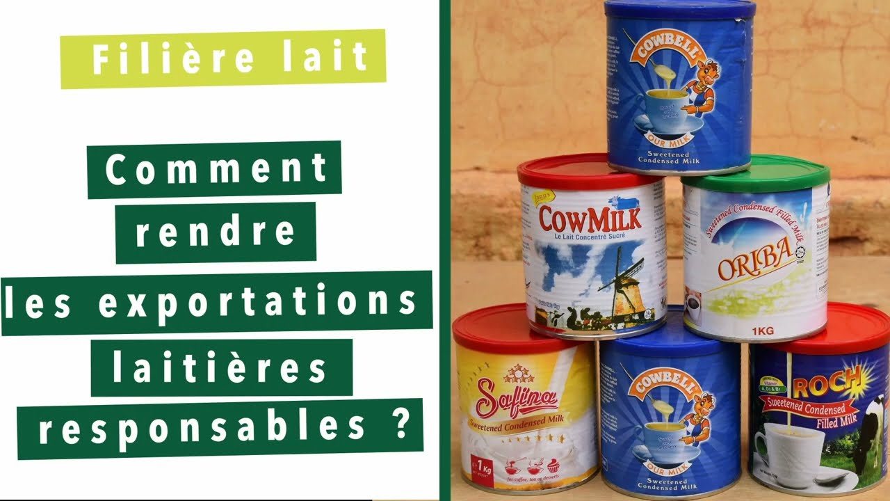 Filière lait : comment rendre les exportations laitières responsables ?