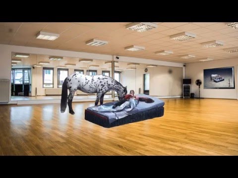 Das Lustige Pferd Scout holt Rosi Hochegger aus dem Bett in GIF