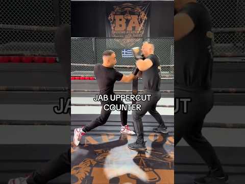 JAB UPPERCUT COUNTER