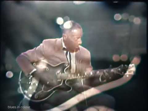 Fred McDowell - live [Colourised] 1969