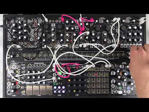 Make Noise TEMPI Music Synthesizer Module Bild 3