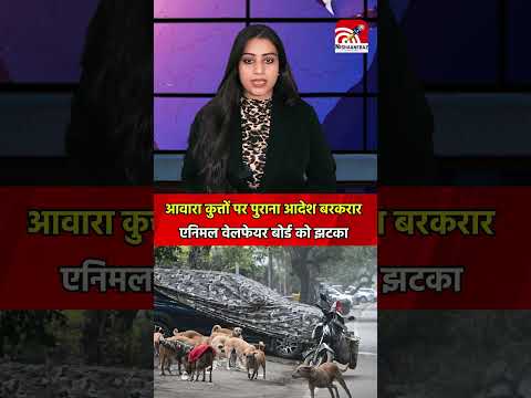 आवारा कुत्तों पर पुराना आदेश बरकरार, एनिमल वेलफेयर बोर्ड को झटका #supremecourt #streetdog
