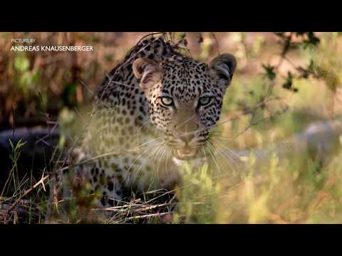 SIGMA Fotosafari 2018